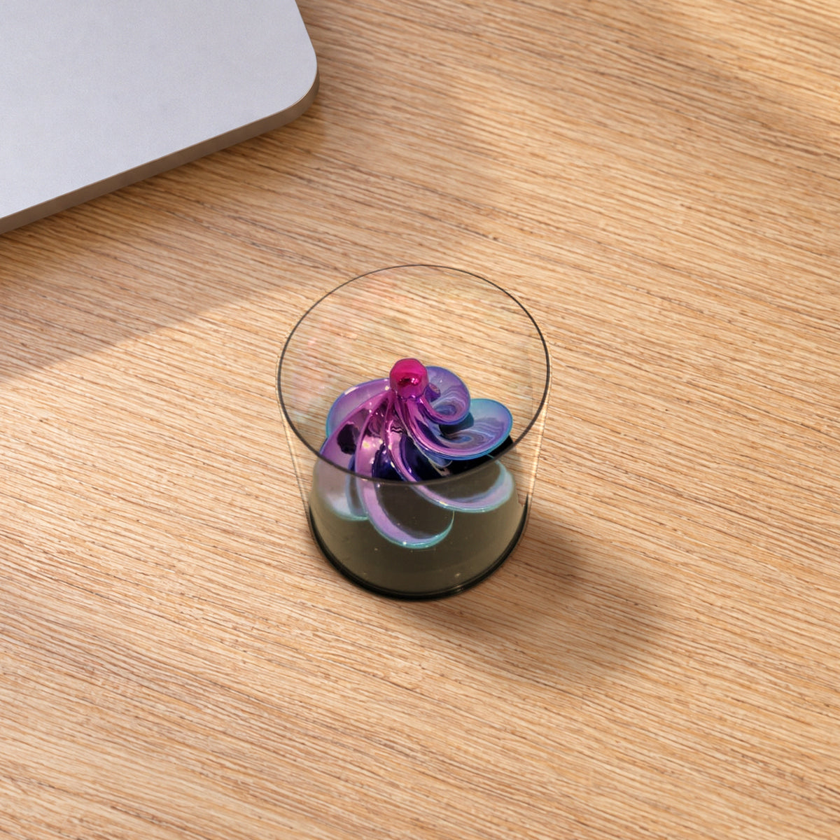 Purple-teal spinning top in its clear casing